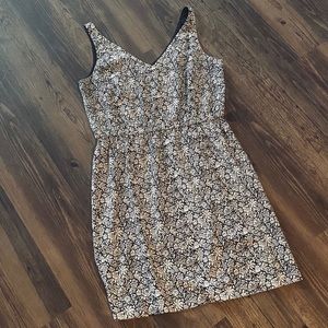 Ann Taylor LOFT Dress